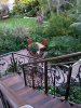 aug 2008 034